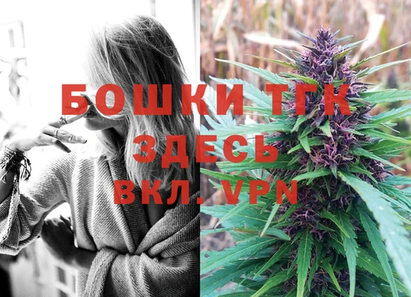 дживик Дмитриев