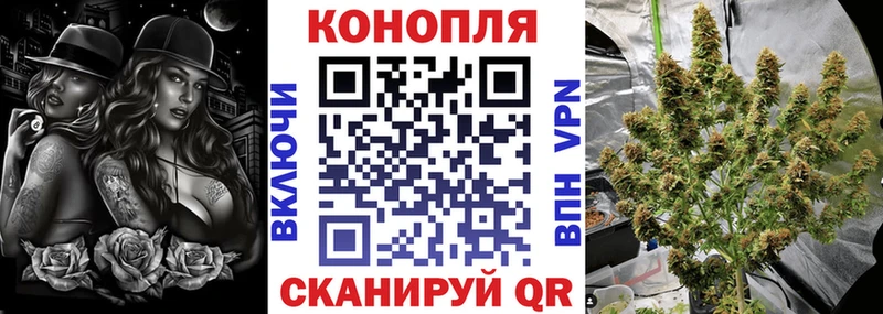 Купить  Циолковский  Бошки марихуана марихуана 